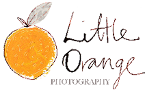 Little Orange Photography