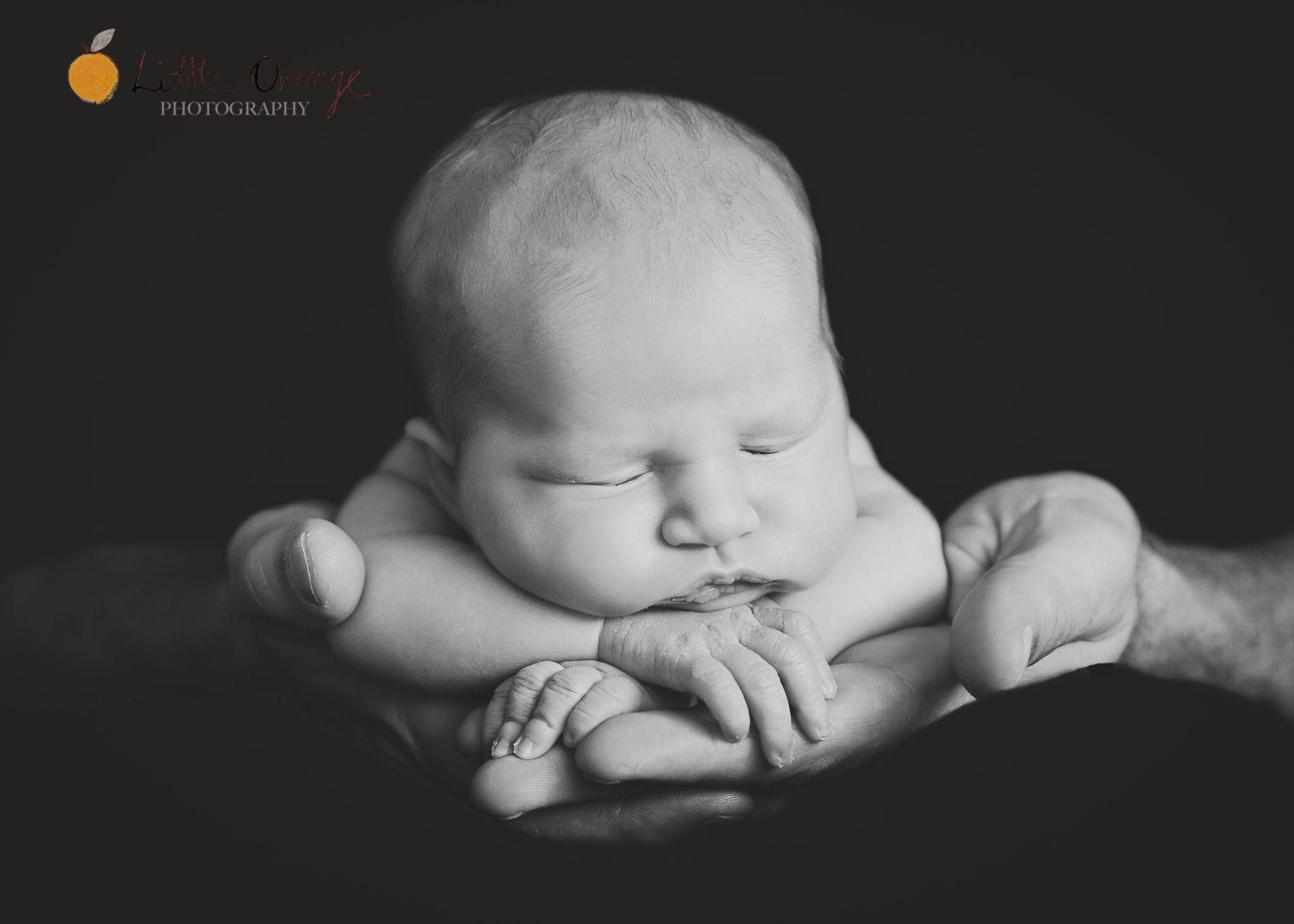 Wiegand Family little Photography 4