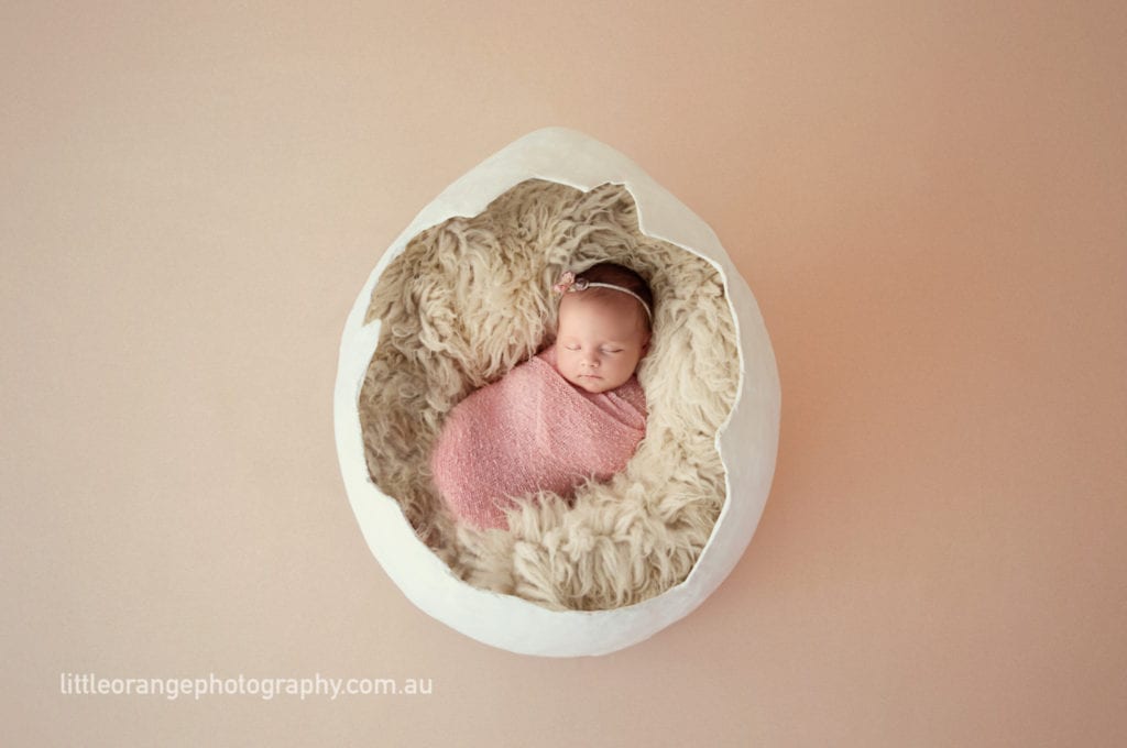 newborn photographer gold coast
